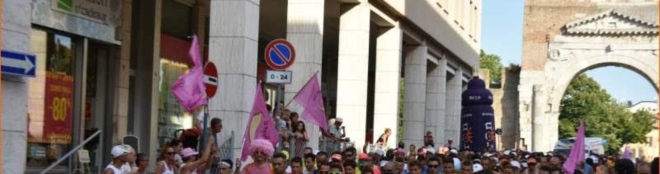 pinkrace.jpg