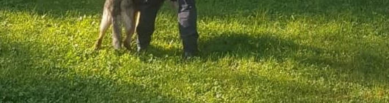 polizialocaleunitacinofila.jpg