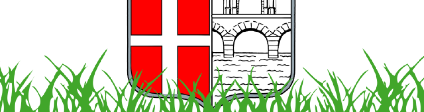 rimini-calcio.png